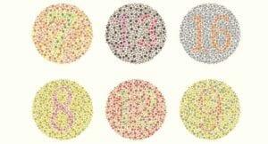 Color Blindness Test for Kids