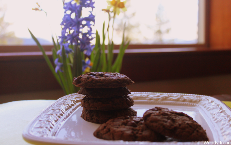 Double Dark Chocolate Peanut Butter Cookies [Dairy, Soy, Egg & Gluten-Free]