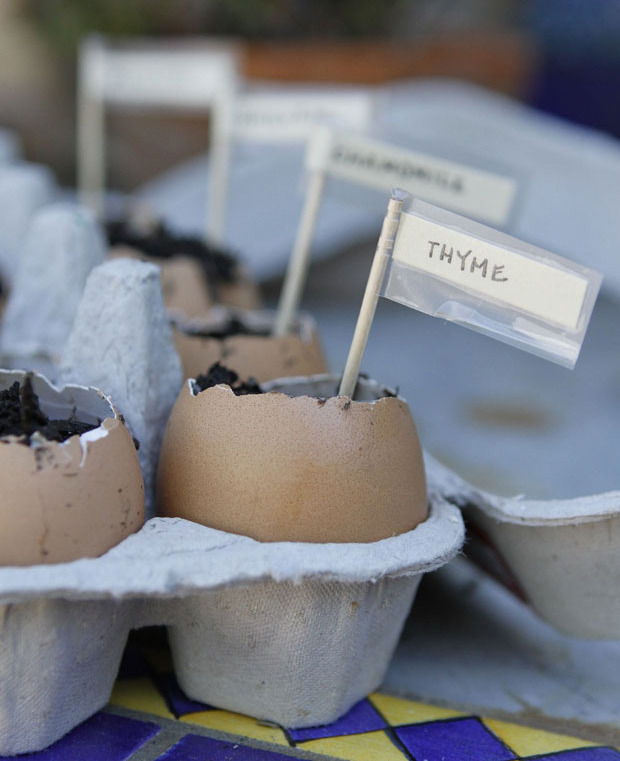 How To Make Eggshell Flower Pots