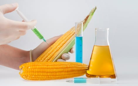 Making Informed Food Decisions: The GMO Labeling Movement