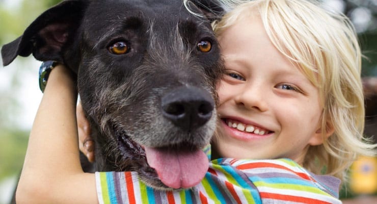 10 Ways to Celebrate Your Dog for National Dog Week