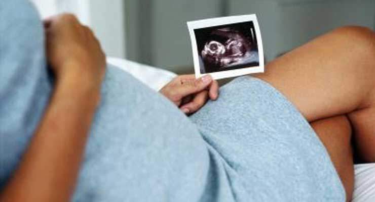 Baby Brain Development in the Womb